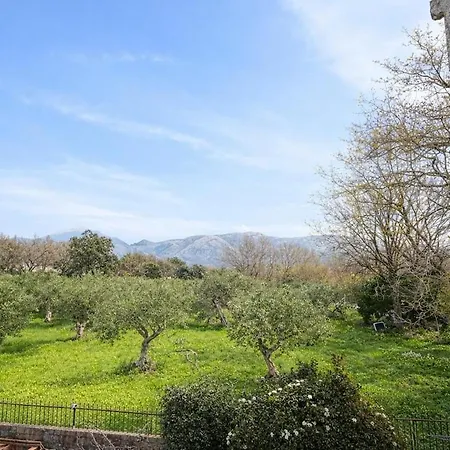 Panoramic Terrace -relax A 5 Minutes From Riviera Tatil Evi San Nicola Arcella