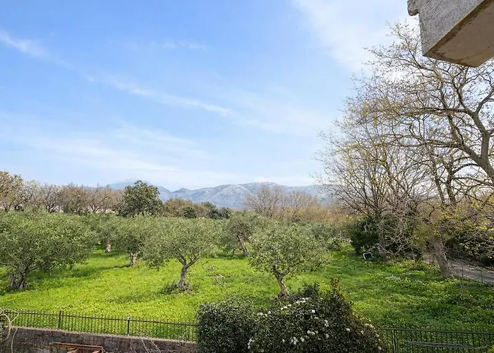 Panoramic Terrace -relax A 5 Minutes From Arcomagno Feriehus San Nicola Arcella